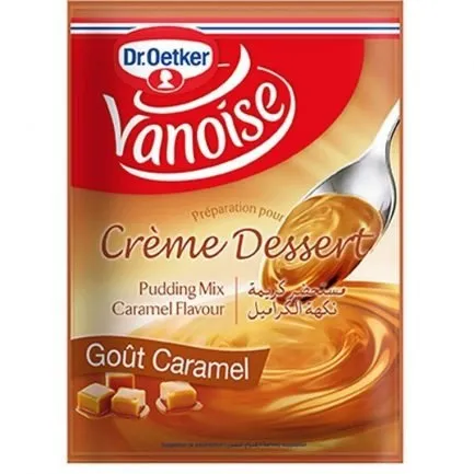 Crème dessert Caramel VANOISE 40g