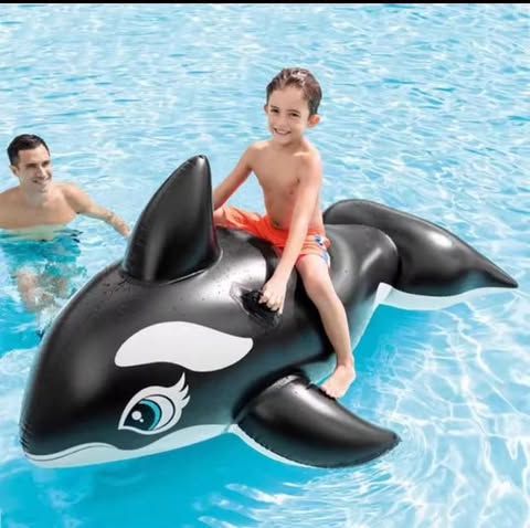 PLAGE Baleine gonflable  INTEX 1.93/1.19cm Prix: