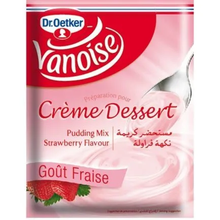 Crème dessert Fraise VANOISE 40g